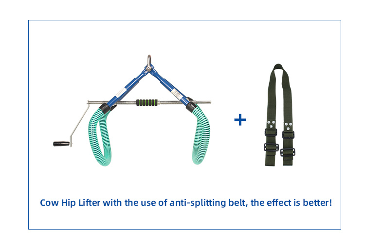 Cow Farm Equipment Cattle Using 1.5M Anti-splitting Straps for Preventing Sports Injuries