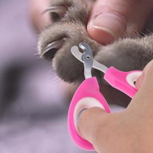 China Pink Color Pet Nail Scissors , Pet Pedicure Nail Grinder Ergonomic Design on sale