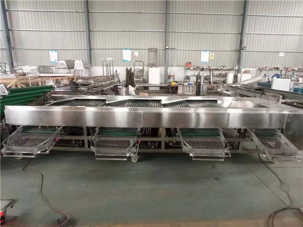 Quality walnut grading machine, walnut sorting machine, walnut elevator, walnut sorter for sale