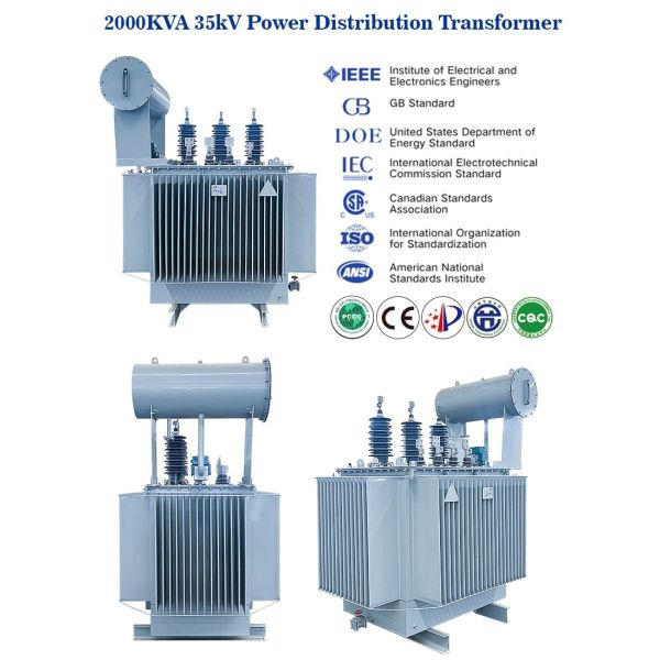 Electric Power Distribution Oil Immersed Mv High Voltage Isolation Transformer 1000kVA