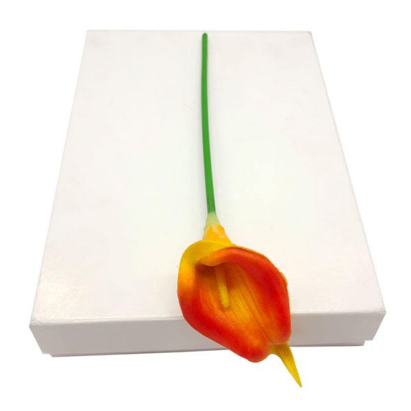 Uncoated White Folding Box Board C1S FBB Jumbo Roll for Eco-Friendly Packaging