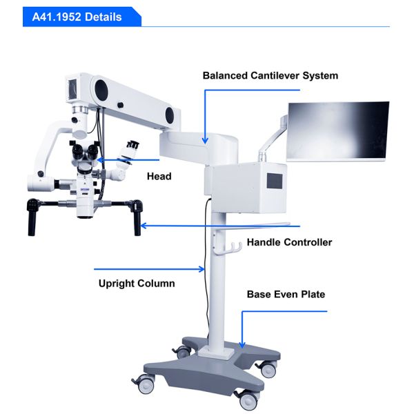 Opto Edu A41.1952 Operating Microscope Neurosurgery Brain Surgery Ent Dual Head