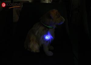 China Clip on LED Flashing Dog Collar Light LED Pet Dog Cat Safety Blinker Flasher in Night on sale