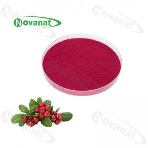 China Cranberry Concentrated Fruit Vegetable Powder / Pure flavor / Water Soluble / Clean Label on sale