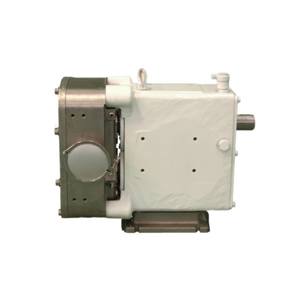 ASME DIN Flange Rotary Lobe Pump Lobe Gear Pump Two Interacting Rotors