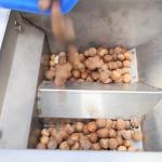 380V 8 Channels Hazelnuts Sorting Machine 360 Degree Rotational Scanning
