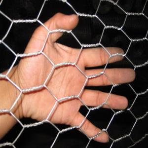 China Galvanized Hexagonal Wire Netting on sale