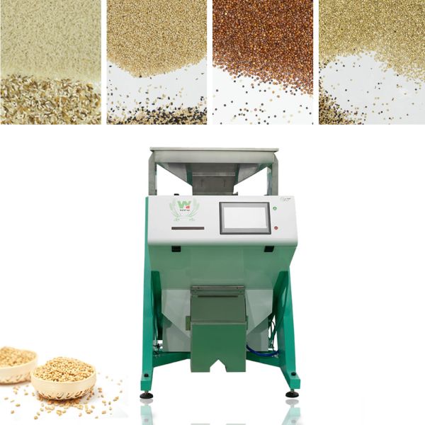 LED CCD Small Quinoa Wheat Color Sorter Machine 1 Chute