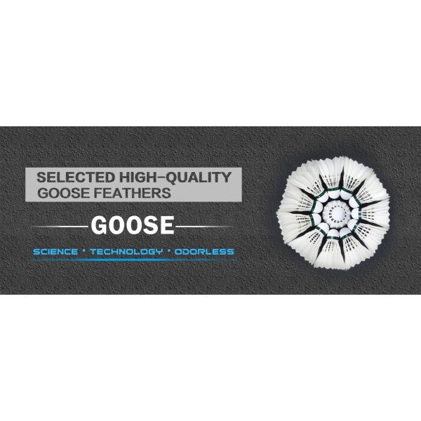 Class B Goose Feather Badminton Shuttlecock Factory Custom Tournament Shuttlecocks Durable Badminton Shuttlecock