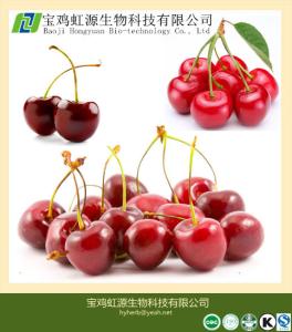 China 100% Soluble Acerola Cherry Extract Powder on sale