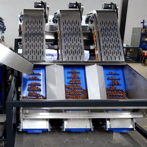 Wholesale Stainless Steel 12 Channels Nuts Sorting Machine For Macadamia from china suppliers