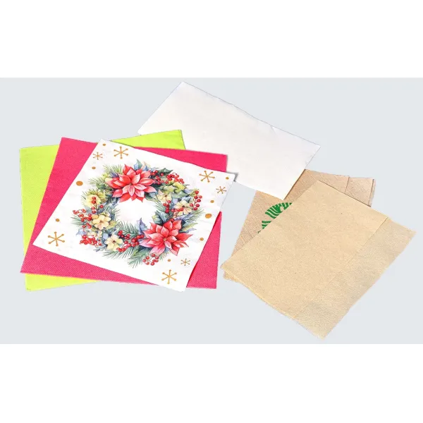 Napkin Serviette Machine Folding Packing Production Line Machinery