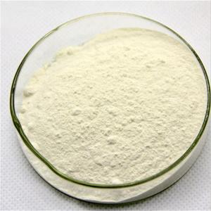 China Chengyida supply 25kg bag xanthan gum food grade bulk thickener CAS NO 11138-66-2 on sale