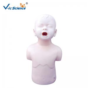 Wholesale Child Nursing Training Doll Eco Friendly PVC Medical Science Model from china suppliers