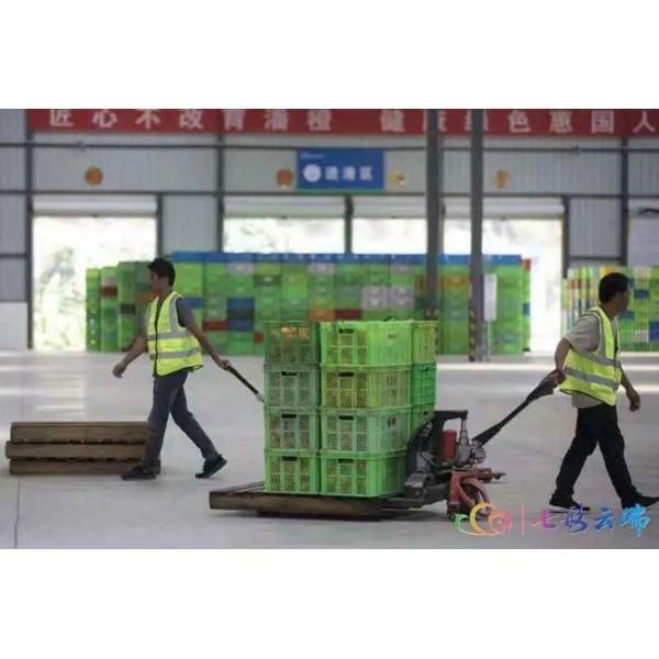 Reusable Foldable Mesh Style Storage Container for Harvesting Crates Size 600*400*52mm