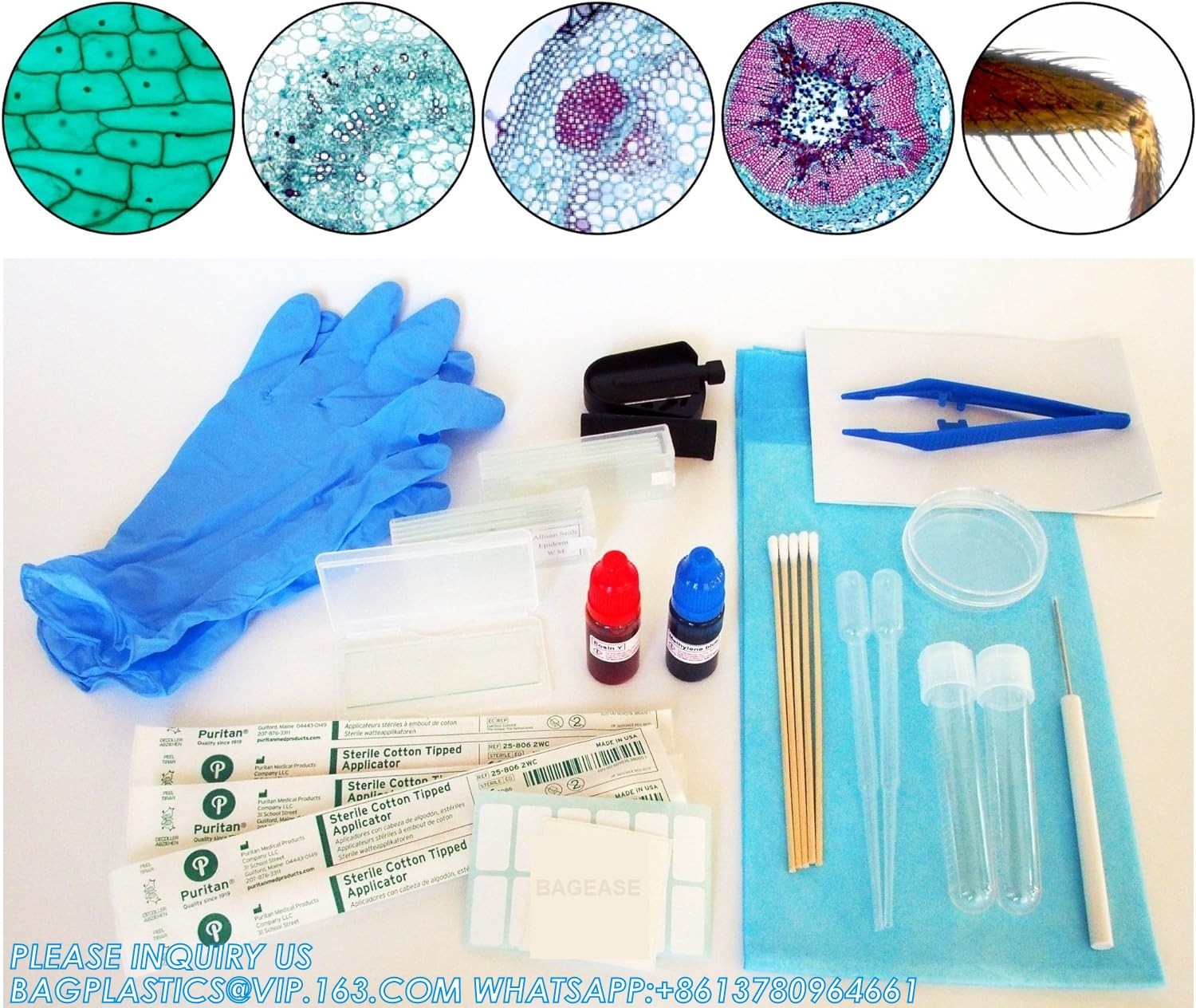 All-In-One Microscope Slide Preparation Kit Microscope Slide Preparation Kit - Essential Student Sample Specime