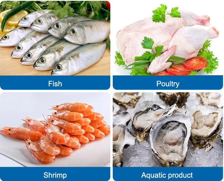 Conveyor Belt Weight Sorting Machine Chicken Wing Fish Grader Circular Multi Weight Sorting Machine With Conveyor Belt