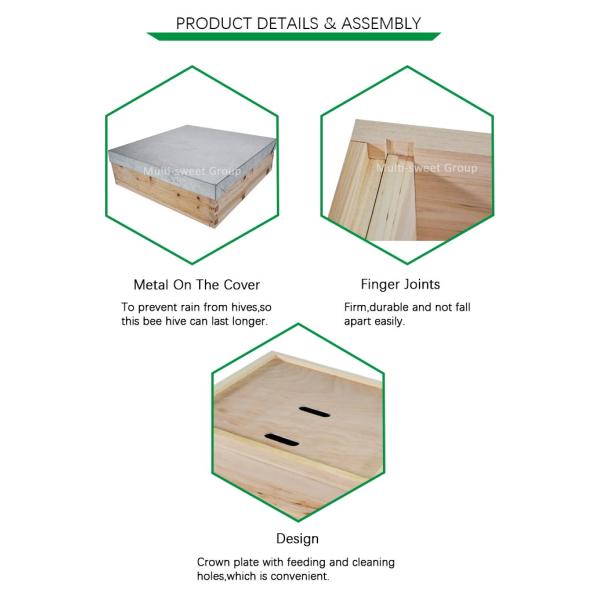 China Fir National Beehive 10 Frame 3 Layers With Brood Box