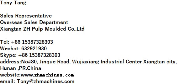 CE Certified Pulp Plate Making Machine 100KW For Plastic Container