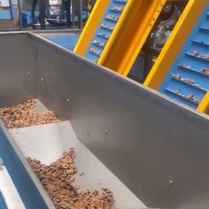 Wholesale AI-powered Multi-Grade Walnut Kernel Sorting Machine with 8 lanes and 12 Outlets Stainless Steel from china suppliers