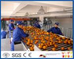 Full Automatic Engery saving Orange Processing Line for Turn Key Project