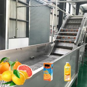 Wholesale Beverage Extracting Sus304 1500t/D Citrus Processing Line from china suppliers