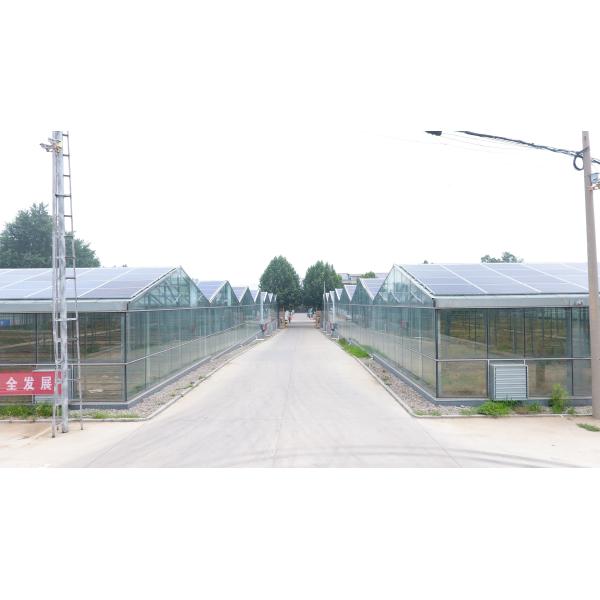 Commercial IP67 TUV 180 Watt Monocrystalline Solar Panel