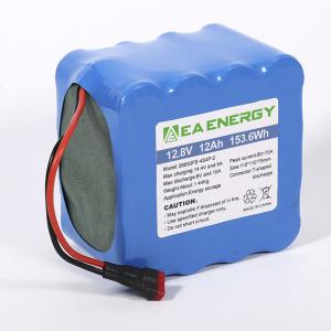 China 153.6Wh Lithium Iron Phosphate Battery Pack Deep Cycle Rechargeable on sale