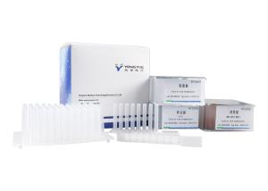 Wholesale DNA RNA Extraction Column Kit Nucleic Acid Extraction And Purification from china suppliers