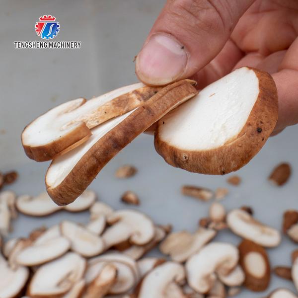 Professional cutting mushroom slice mushroom cutting processing equipment
