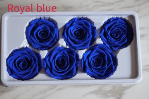 China beautiful preserved rose flower A grade stabilized rose preserved long lasting eternal rose 4-5cm on sale