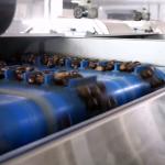 2 Tons Hourly Capacity Inshell Chestnut Sorting Machine Labor Saving