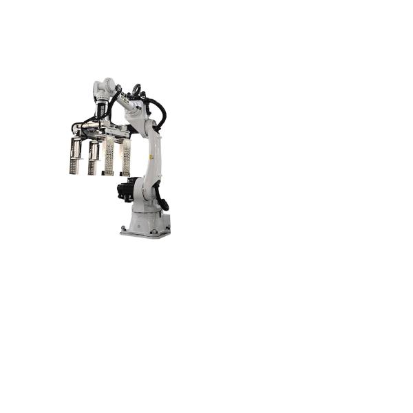 Industrial Robot Case Packer Safety For Industrial Applications