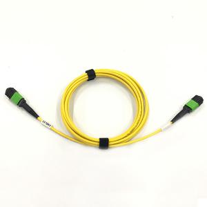 12F MPO To MPO Single Mode Patch Cord , Loss MPO Fiber Optic Patch Cord 3M Standard