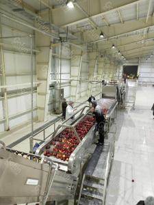 Wholesale Automatic PLC Controlled Apple Juice Processing Machine 0.5T/H - 30T/H from china suppliers