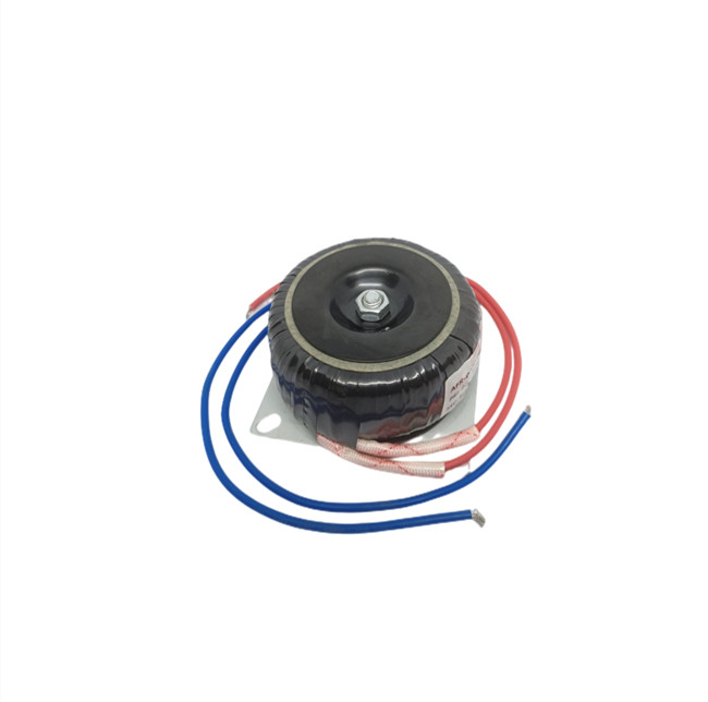 Input 110V 220V 230V Output 12V 24V 55V 1000VA Audio Toroidal Transformer