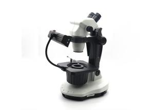 Wholesale Rotatable Ellipse base Binocular Microscope With F07 binocular lens from china suppliers
