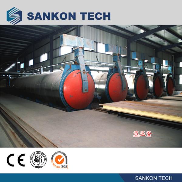 Quality ISO approval 2*31M Autoclave AAC Block Making Machine for sale