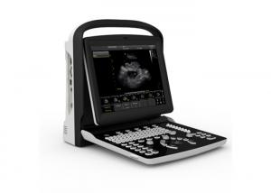 Wholesale High End B & W Ultrasound Veterinary Monitoring Equipment For Vet from china suppliers