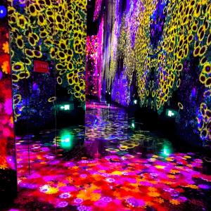 Wholesale Multiple Channels Immersive Room Projector Immersive Wall Interactive Projection from china suppliers