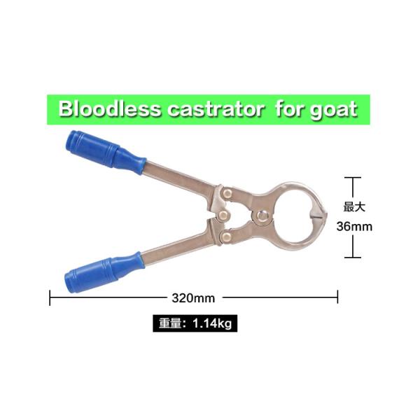 Sheep Bloodless Castrator Stainless Steel Cultivation Farm Using Tool