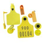 Programming TPU Ear RFID Tags For Easy Tracking And Monitoring Of Assets And Cow