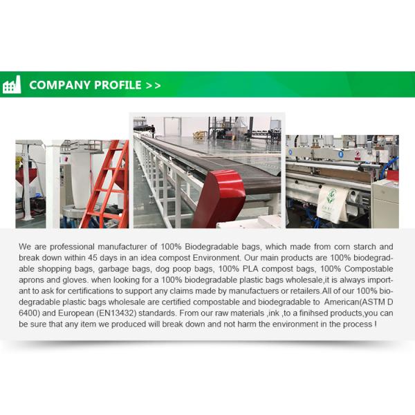 AISUN Customize Printed Direct Factory Sale 100% Biodegradable PLA PBAT Compostable Shopping Bags for supermarket