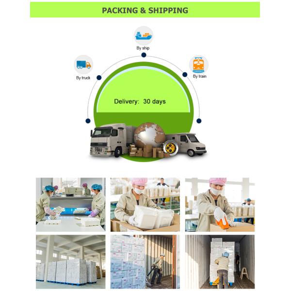 1 2 3 Compartments Disposable Burger Takeaway Containers