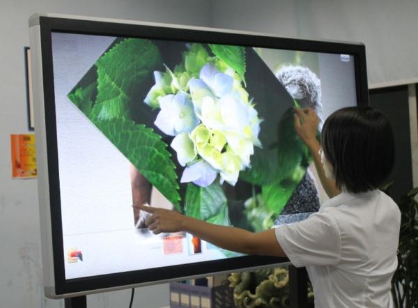 Quality New arrival 70 inch replacement lcd screen tv for TV show for sale