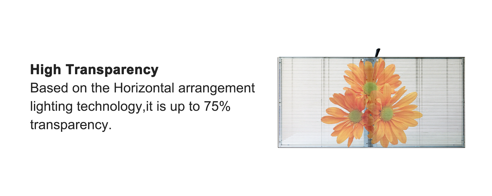 SMD1921 LED Transparent Display Screen P3.91 High Definition Viewing