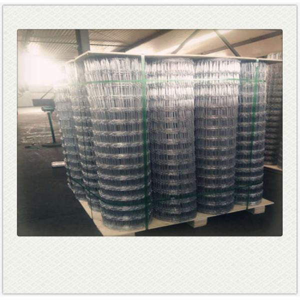 Fixed Hinge Grassland Wire Fence , 2.5mm Galvanized Mesh Wire Fencing