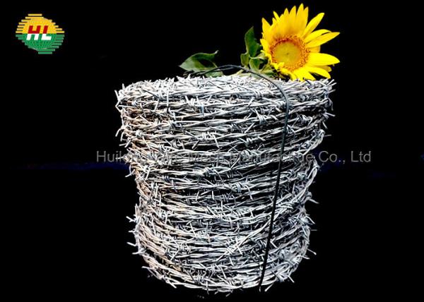 Quality 12/14/16  Hot-Dipped Galvanized Barbed Wire for Prison Security Fence for sale