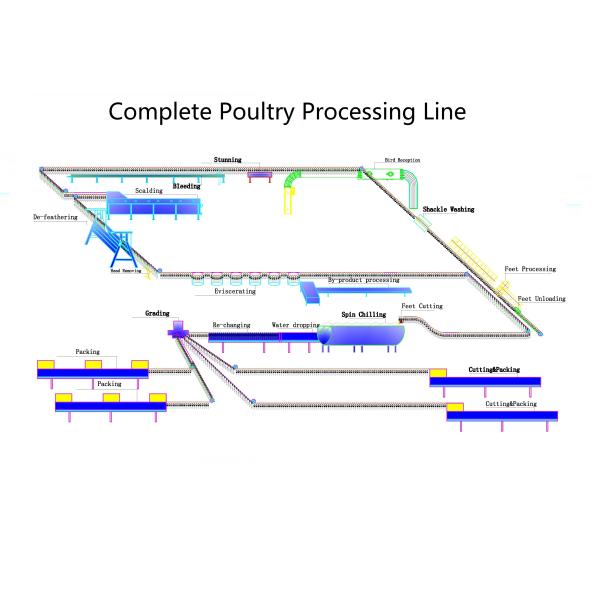 6m Poultry Farming Equipment The Beheaded Chicken Feet Cooling Machine