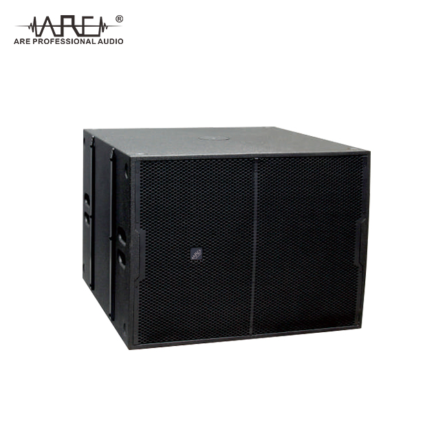 ARE Audio Dual 12" Line Array PA System Set Professional Audio System Outdoor Line Array Church Line Array Speaker